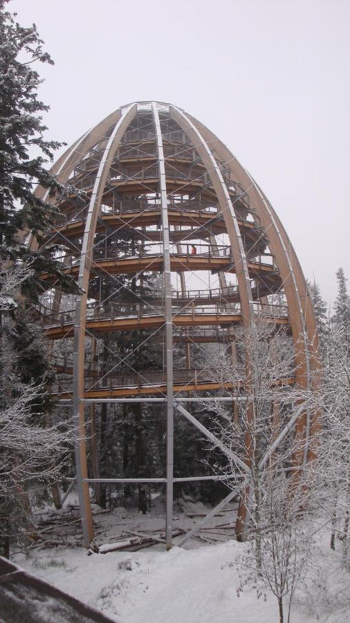 Haus Beate, Fewo Im Bienenparadies Kirchberg  Exterior photo